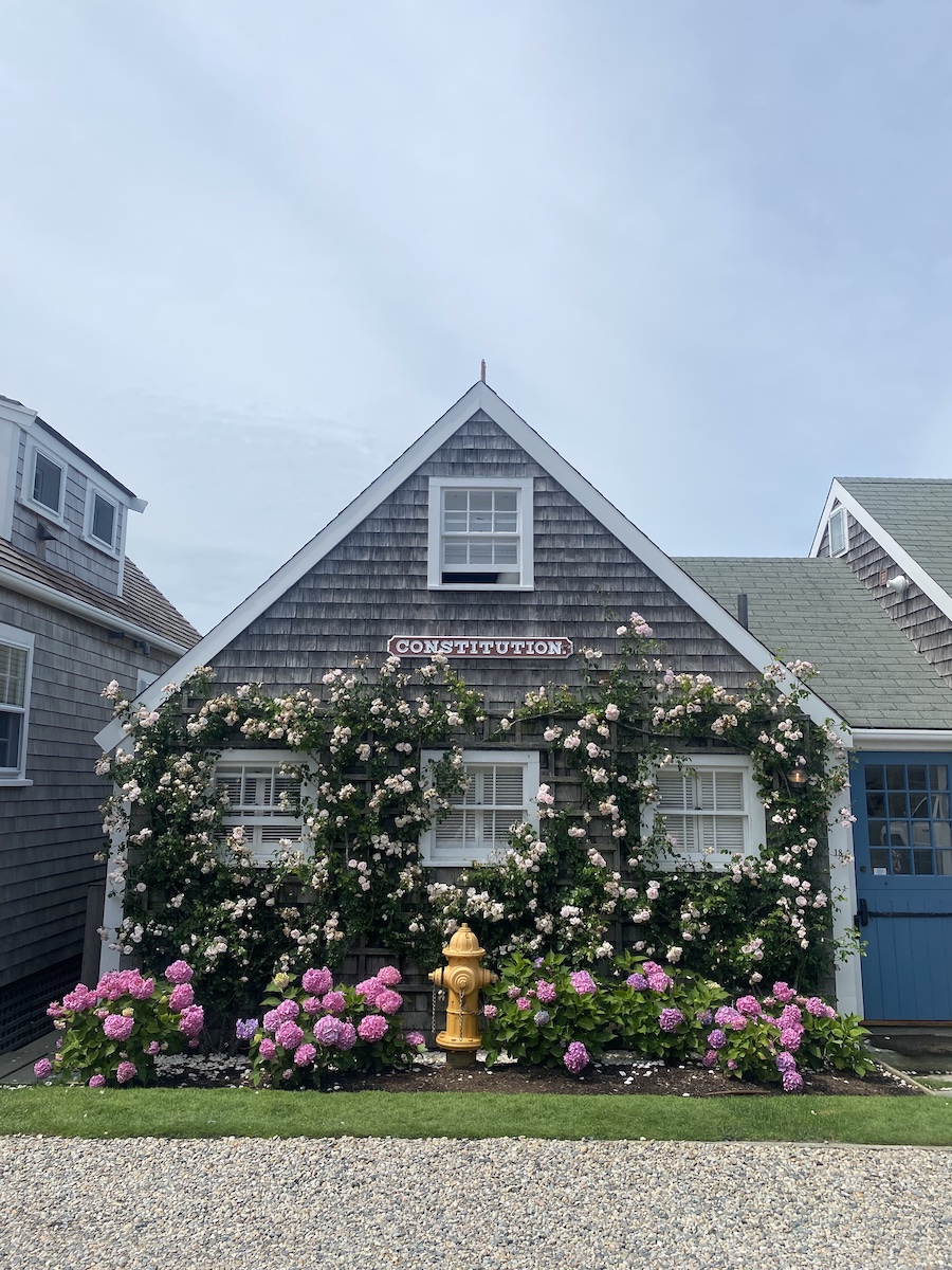 The perfect Nantucket day trip - ON TAP FOR TODAY