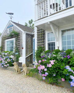 Perfect Nantucket Day Trip